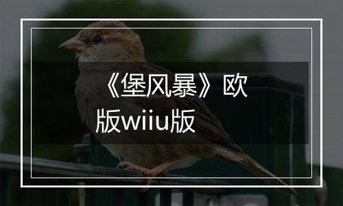《堡风暴》欧版wiiu版