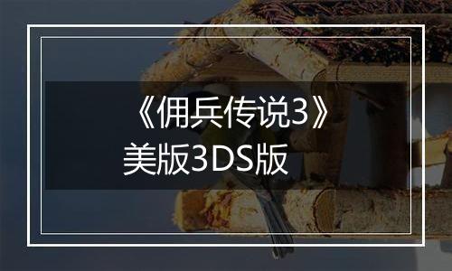《佣兵传说3》美版3DS版