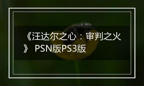 《汪达尔之心：审判之火》 PSN版PS3版