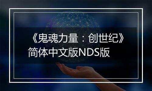 《鬼魂力量：创世纪》简体中文版NDS版