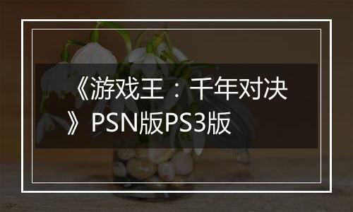 《游戏王：千年对决》PSN版PS3版