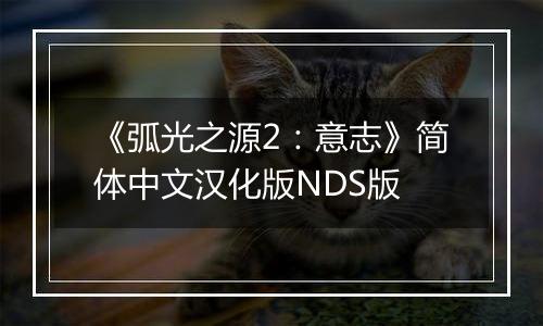 《弧光之源2：意志》简体中文汉化版NDS版