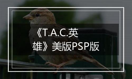 《T.A.C.英雄》美版PSP版