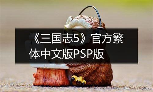 《三国志5》官方繁体中文版PSP版