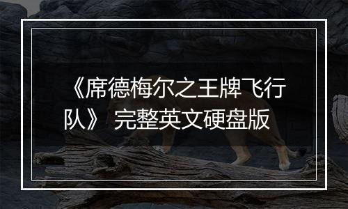 《席德梅尔之王牌飞行队》 完整英文硬盘版