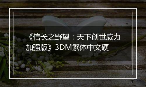 《信长之野望：天下创世威力加强版》3DM繁体中文硬