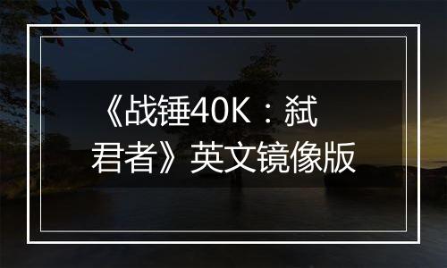 《战锤40K：弑君者》英文镜像版