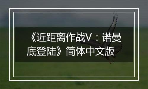 《近距离作战V：诺曼底登陆》简体中文版