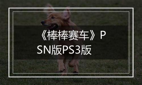 《棒棒赛车》PSN版PS3版