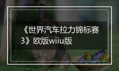 《世界汽车拉力锦标赛3》欧版wiiu版