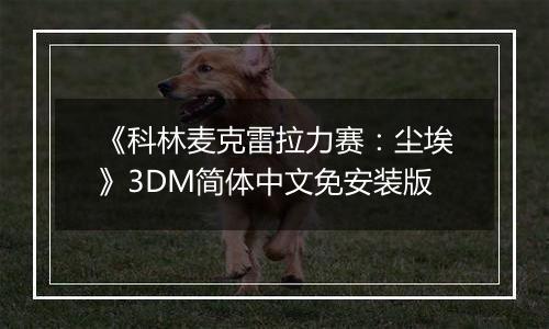 《科林麦克雷拉力赛：尘埃》3DM简体中文免安装版
