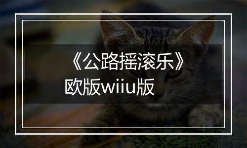 《公路摇滚乐》欧版wiiu版