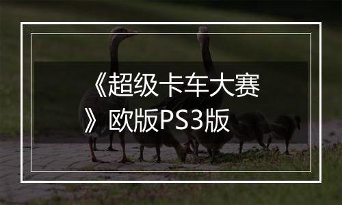 《超级卡车大赛》欧版PS3版