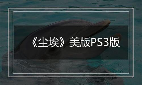 《尘埃》美版PS3版