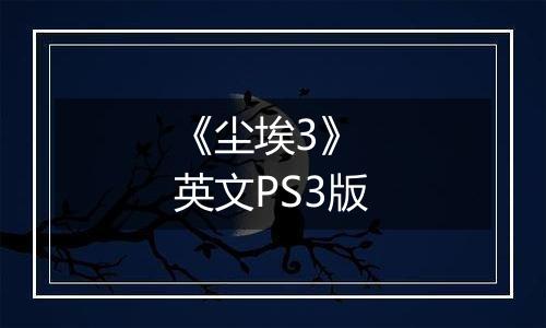 《尘埃3》 英文PS3版