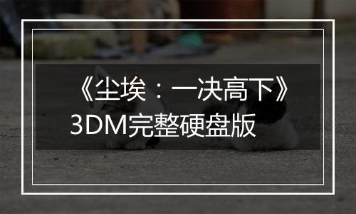 《尘埃：一决高下》3DM完整硬盘版