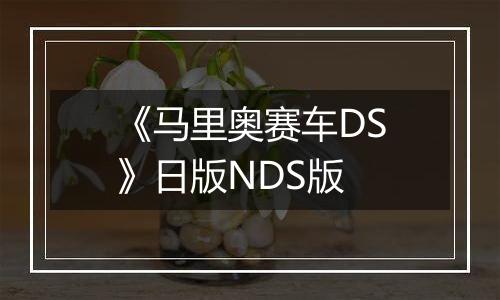 《马里奥赛车DS》日版NDS版