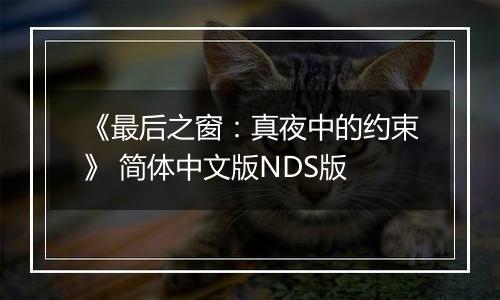 《最后之窗：真夜中的约束》 简体中文版NDS版