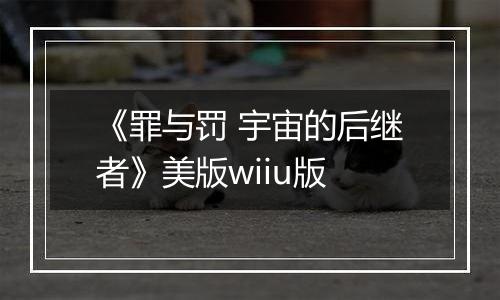 《罪与罚 宇宙的后继者》美版wiiu版