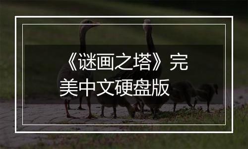 《谜画之塔》完美中文硬盘版