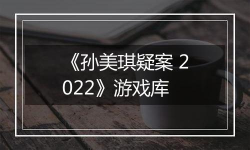 《孙美琪疑案 2022》游戏库