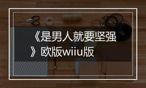 《是男人就要坚强》欧版wiiu版