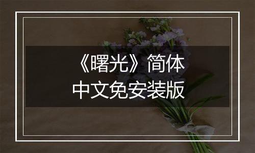 《曙光》简体中文免安装版