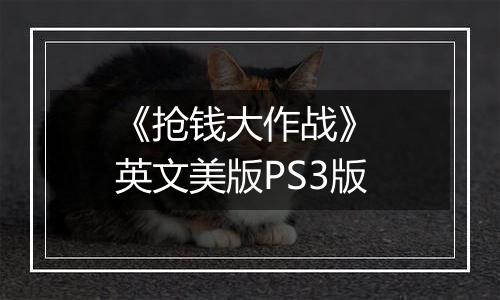 《抢钱大作战》 英文美版PS3版