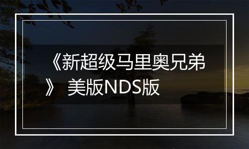 《新超级马里奥兄弟》 美版NDS版