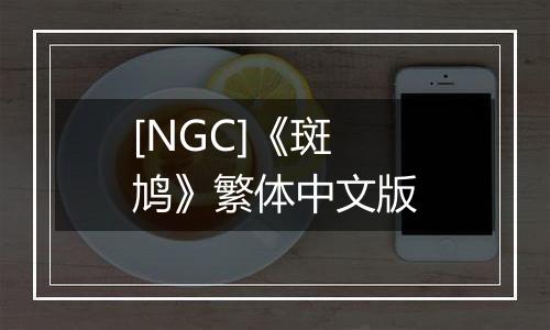 [NGC]《斑鸠》繁体中文版