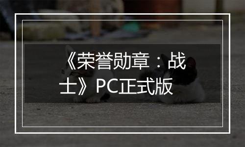 《荣誉勋章：战士》PC正式版