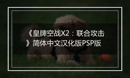 《皇牌空战X2：联合攻击》简体中文汉化版PSP版