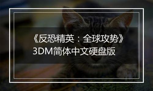 《反恐精英：全球攻势》 3DM简体中文硬盘版