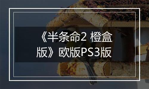 《半条命2 橙盒版》欧版PS3版