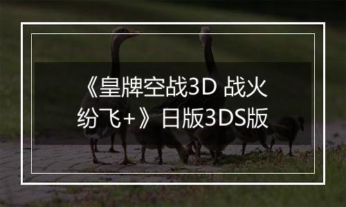 《皇牌空战3D 战火纷飞+》日版3DS版