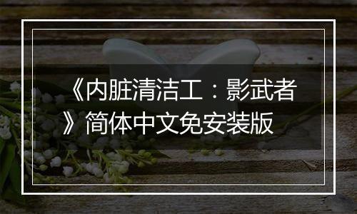 《内脏清洁工：影武者》简体中文免安装版
