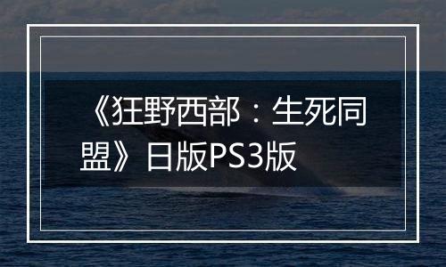《狂野西部：生死同盟》日版PS3版