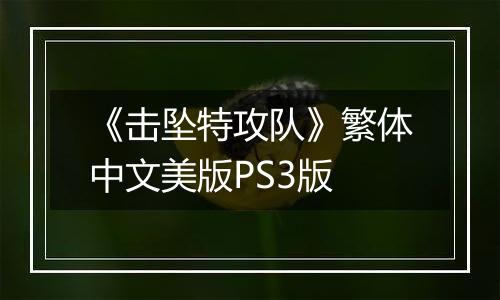 《击坠特攻队》繁体中文美版PS3版