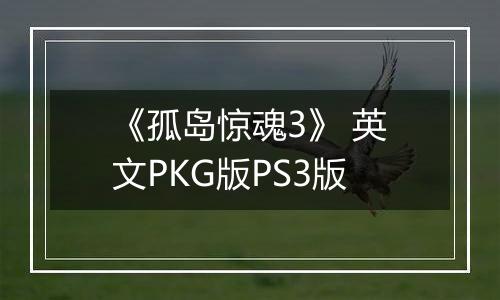 《孤岛惊魂3》 英文PKG版PS3版
