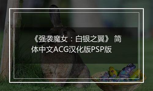 《强袭魔女：白银之翼》 简体中文ACG汉化版PSP版