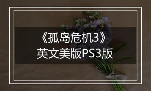 《孤岛危机3》 英文美版PS3版