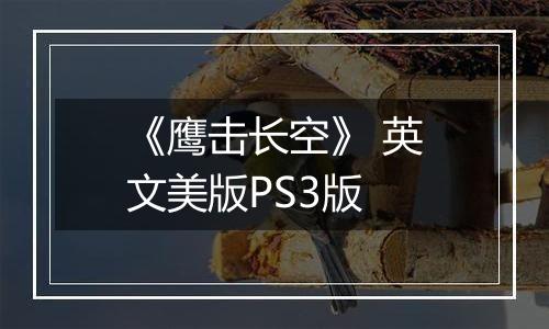 《鹰击长空》 英文美版PS3版