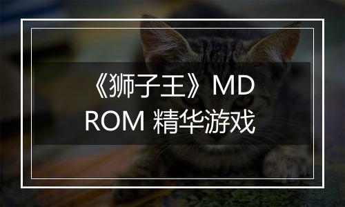 《狮子王》MD ROM 精华游戏