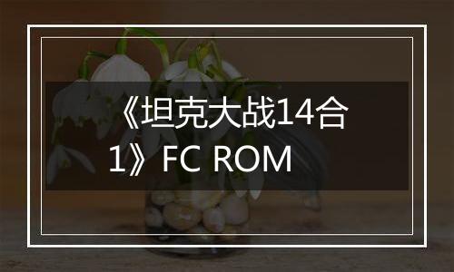 《坦克大战14合1》FC ROM