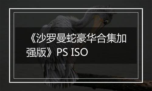 《沙罗曼蛇豪华合集加强版》PS ISO