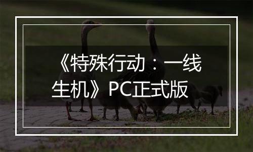 《特殊行动：一线生机》PC正式版