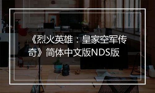 《烈火英雄：皇家空军传奇》简体中文版NDS版