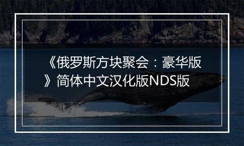 《俄罗斯方块聚会：豪华版》简体中文汉化版NDS版