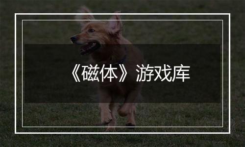 《磁体》游戏库