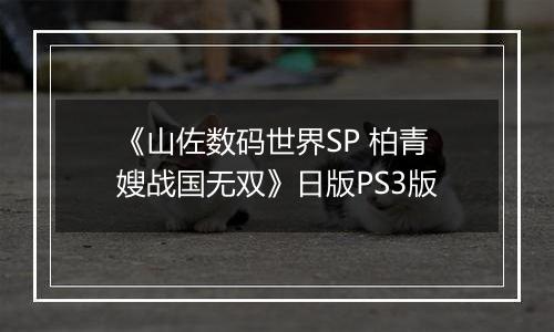 《山佐数码世界SP 柏青嫂战国无双》日版PS3版